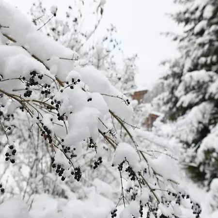 Gemuetlicher Aufenthalt In Apartamento *