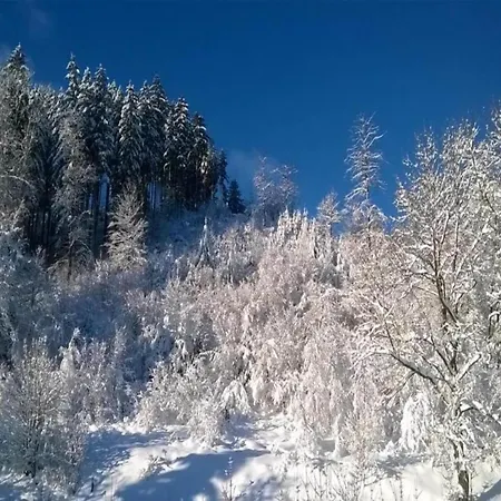 Lägenhet Gemuetlicher Aufenthalt In *