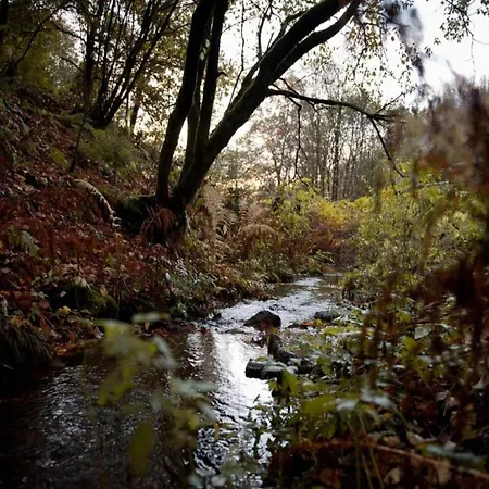 Apartamento Gemuetlicher Aufenthalt In Kamschlacken